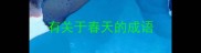 有关于春天的成语