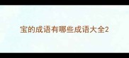 宝的成语有哪些成语大全