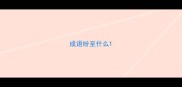 成语纷至什么