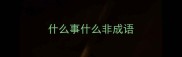 什么事什么非成语