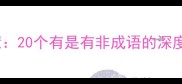 成语中的辩证智慧20个有是有非成语的深度与正确使用指南