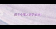 形容中庸之道的成语