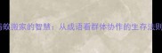 蚂蚁搬家的智慧从成语看群体协作的生存法则