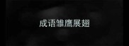 成语雏鹰展翅