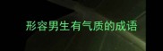 形容男生有气质的成语