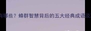 蜜蜂成语有哪些蜂群智慧背后的五大经典成语及职场启示