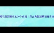 樱花美到窒息的20个成语用古典智慧解锁春日浪漫