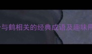 鹤舞九天15个与鹤相关的经典成语及趣味用法新手必看