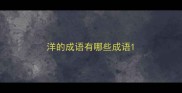 洋的成语有哪些成语