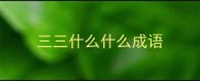 三三什么什么成语