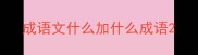 成语文什么加什么成语
