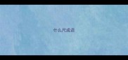 什么尺成语