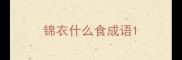 锦衣什么食成语