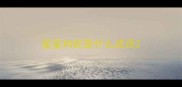 星星和蛇是什么成语