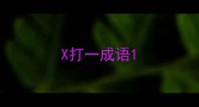 X打一成语