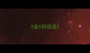 X金X邻成语