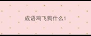 成语鸡飞狗什么