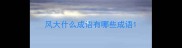 风大什么成语有哪些成语