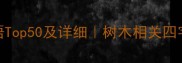 形容大树常用成语Top50及详细树木相关四字词语盘点推荐