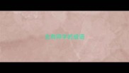 含有师字的成语