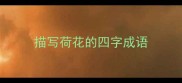 描写荷花的四字成语