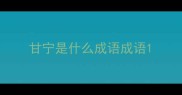 甘宁是什么成语成语