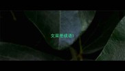 文采差成语