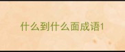 什么到什么面成语