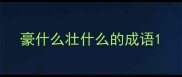 豪什么壮什么的成语
