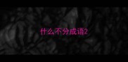 什么不分成语