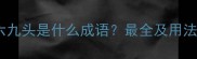 春打六九头是什么成语最全及用法指南