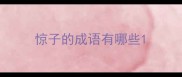 惊子的成语有哪些