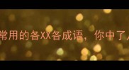 10个最常用的各XX各成语你中了几个