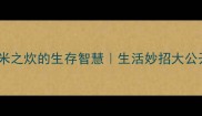 无米之炊的生存智慧生活妙招大公开