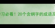 纲领类成语全职场学习必看20个含纲字的成语及使用场景保姆级教程