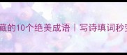秋天大树必藏的10个绝美成语写诗填词秒变文学大佬