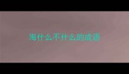 海什么不什么的成语