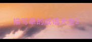 描写草的成语大全