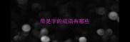 带是字的成语有哪些
