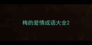 梅的爱情成语大全