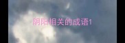 阴阳相关的成语