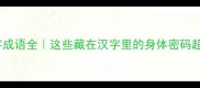 有身是字成语全这些藏在汉字里的身体密码超有趣