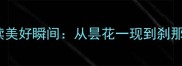20个经典成语解读美好瞬间从昙花一现到刹那芳华的意境美学