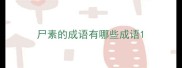 尸素的成语有哪些成语