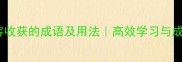 20个形容收获的成语及用法高效学习与成长必备