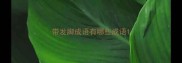 带发脚成语有哪些成语