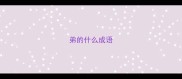 弟的什么成语