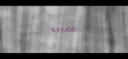 马字头成语