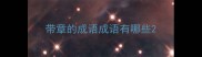 带章的成语成语有哪些