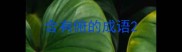 含有俯的成语